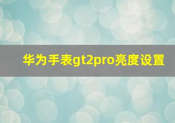 华为手表gt2pro亮度设置