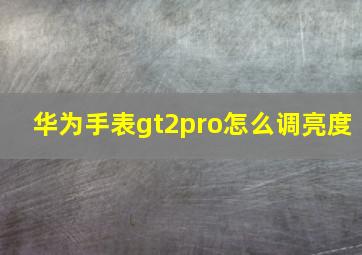 华为手表gt2pro怎么调亮度