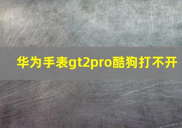 华为手表gt2pro酷狗打不开