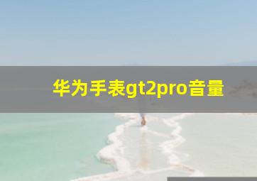 华为手表gt2pro音量