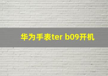 华为手表ter b09开机