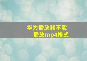 华为播放器不能播放mp4格式