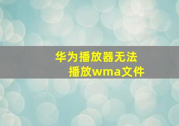 华为播放器无法播放wma文件