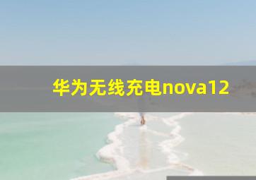 华为无线充电nova12