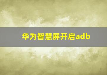 华为智慧屏开启adb