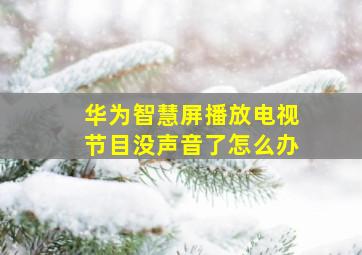 华为智慧屏播放电视节目没声音了怎么办