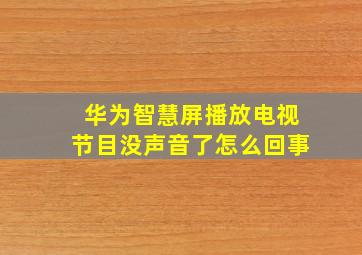 华为智慧屏播放电视节目没声音了怎么回事