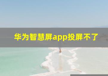 华为智慧屏app投屏不了