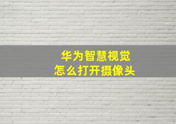 华为智慧视觉怎么打开摄像头