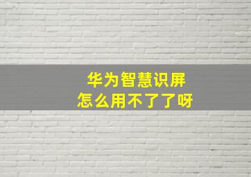 华为智慧识屏怎么用不了了呀