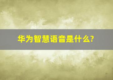 华为智慧语音是什么?