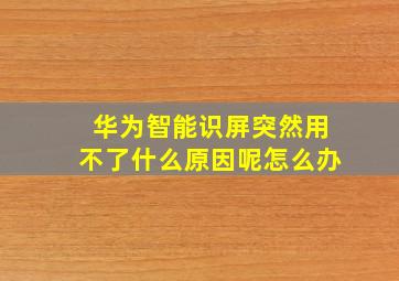 华为智能识屏突然用不了什么原因呢怎么办