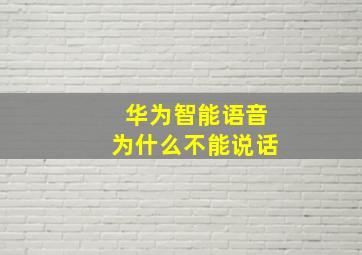 华为智能语音为什么不能说话