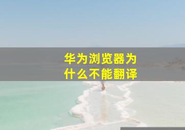 华为浏览器为什么不能翻译