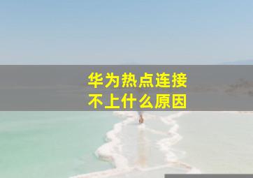 华为热点连接不上什么原因