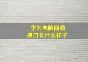 华为电脑网线接口长什么样子