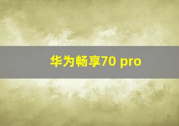 华为畅享70 pro