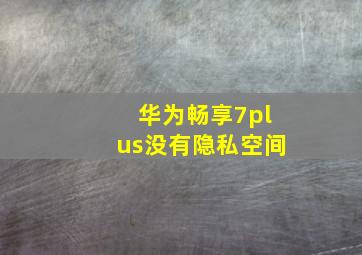 华为畅享7plus没有隐私空间