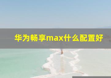 华为畅享max什么配置好