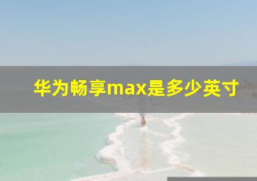 华为畅享max是多少英寸