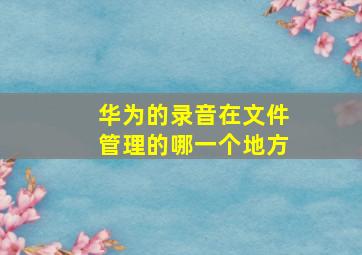 华为的录音在文件管理的哪一个地方