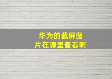 华为的截屏图片在哪里查看啊