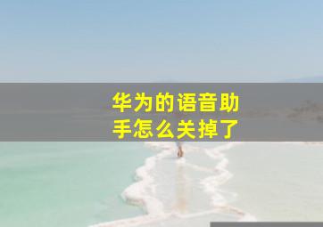 华为的语音助手怎么关掉了