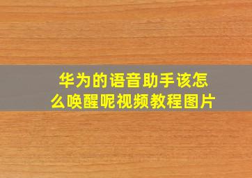 华为的语音助手该怎么唤醒呢视频教程图片