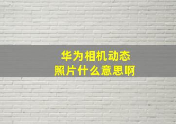 华为相机动态照片什么意思啊