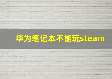 华为笔记本不能玩steam