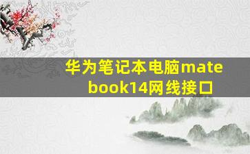 华为笔记本电脑mate book14网线接口