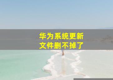 华为系统更新文件删不掉了