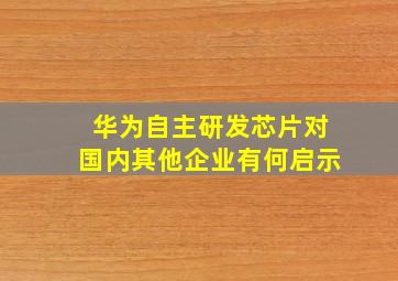 华为自主研发芯片对国内其他企业有何启示