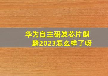 华为自主研发芯片麒麟2023怎么样了呀