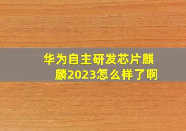 华为自主研发芯片麒麟2023怎么样了啊