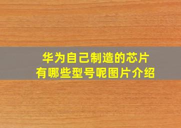 华为自己制造的芯片有哪些型号呢图片介绍