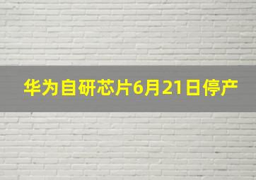 华为自研芯片6月21日停产