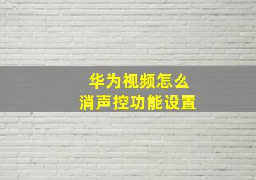 华为视频怎么消声控功能设置