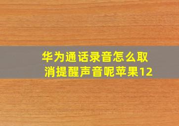 华为通话录音怎么取消提醒声音呢苹果12