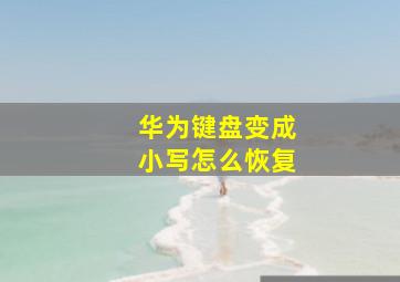 华为键盘变成小写怎么恢复