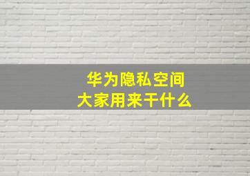 华为隐私空间大家用来干什么