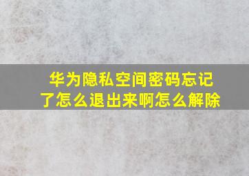 华为隐私空间密码忘记了怎么退出来啊怎么解除