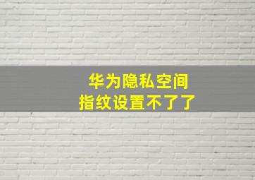 华为隐私空间指纹设置不了了