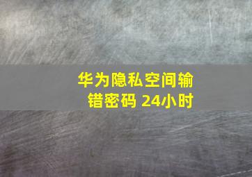 华为隐私空间输错密码 24小时