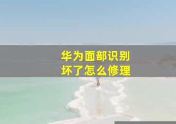 华为面部识别坏了怎么修理