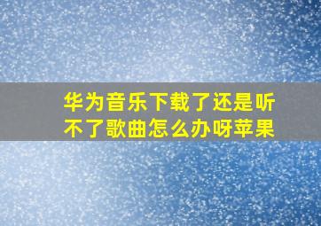 华为音乐下载了还是听不了歌曲怎么办呀苹果