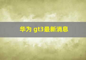 华为 gt3最新消息