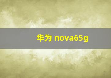 华为 nova65g