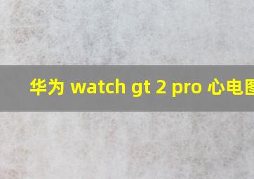 华为 watch gt 2 pro 心电图