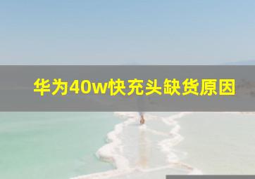 华为40w快充头缺货原因